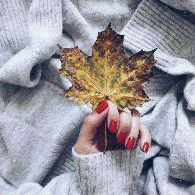 乐鱼官网-登录入口