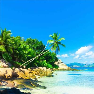 斗牛游戏大厅下载手机版