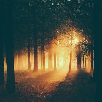 电玩城金鲨银鲨下载手机版