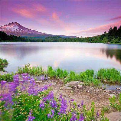 三亿体育app下载